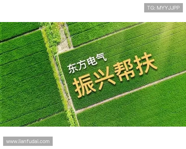 尊龙凯时人生就是博中国官网揭秘平台背后的运营机制与用户权益保障